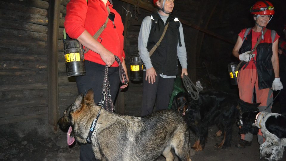 Záchranářští psi cvičili v hlubinném dole