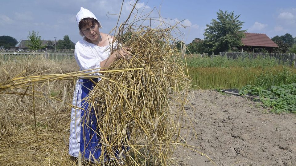 Mlynářské dny připravil na víkend Podorlický skanzen v Krňovicích