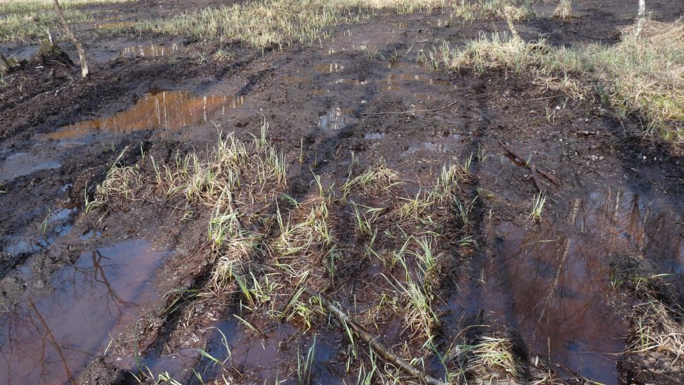 Kromě sklářské výroby byla zdejší oblast známá také rašelinou, která se nějakou dobu těžila ve velkém a dost radikálním způsobem