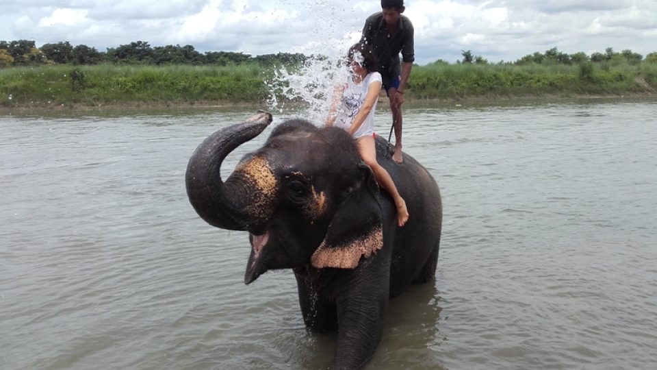 Sloní sprcha v Národním parku Chitwan
