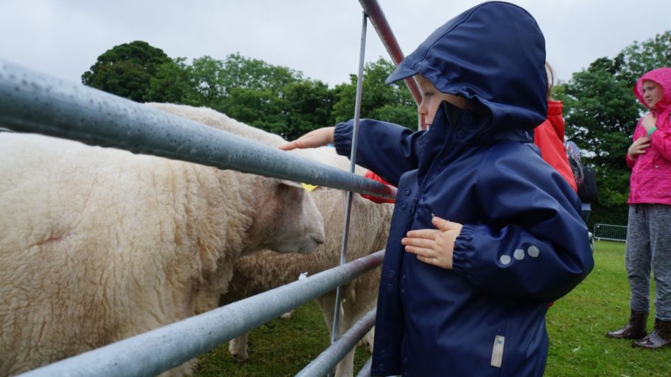 Výstava dobytka může být v Irsku velkou společenskou událostí