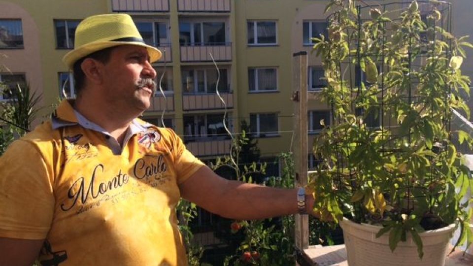 Radek Flachs pěstuje bylinky a zeleninu pro svůj hotel přímo na střeše