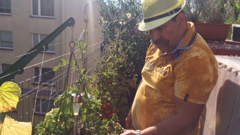 Radek Flachs pěstuje bylinky a zeleninu pro svůj hotel přímo na střeše