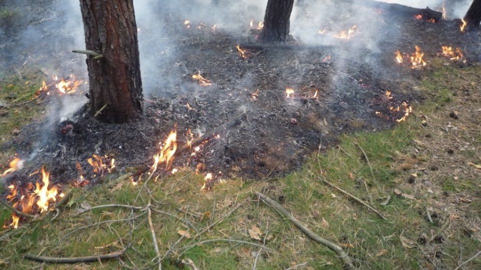 Požár v lesním porostu na Hruboskalsku