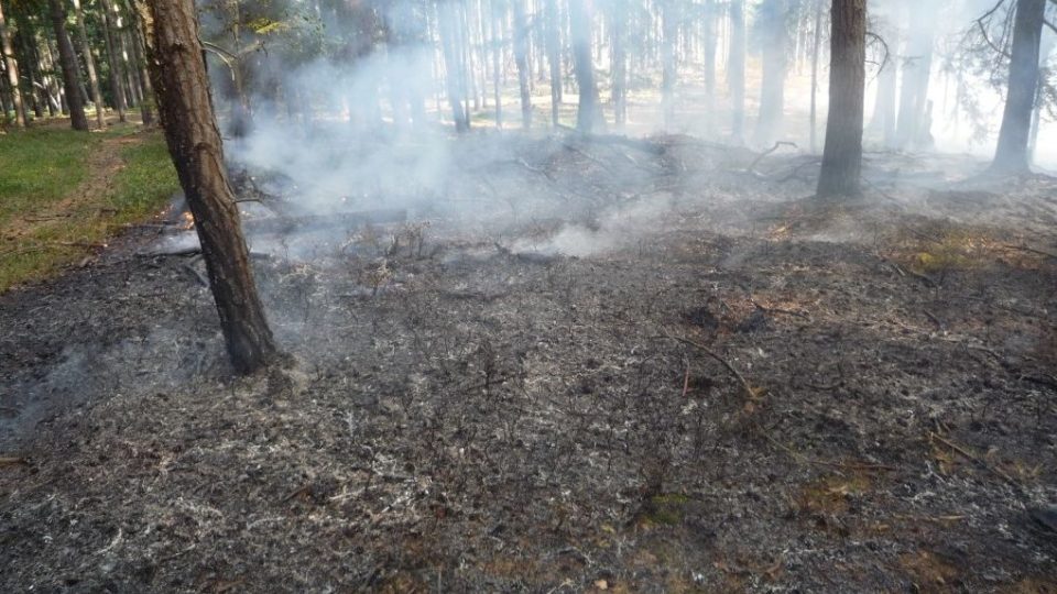 Požár v lesním porostu na Hruboskalsku