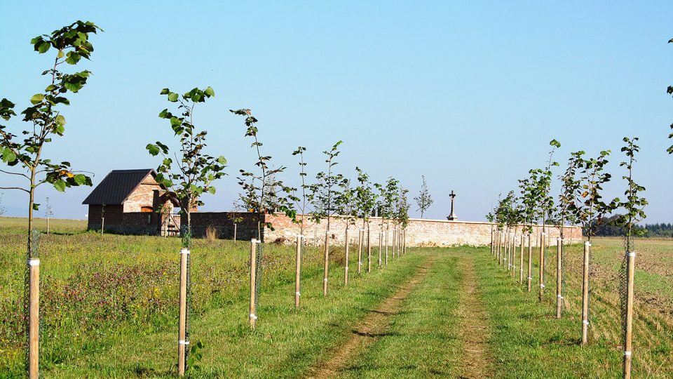 Cesta k hřbitovu v Dolní Lipce donedávna neexistovala