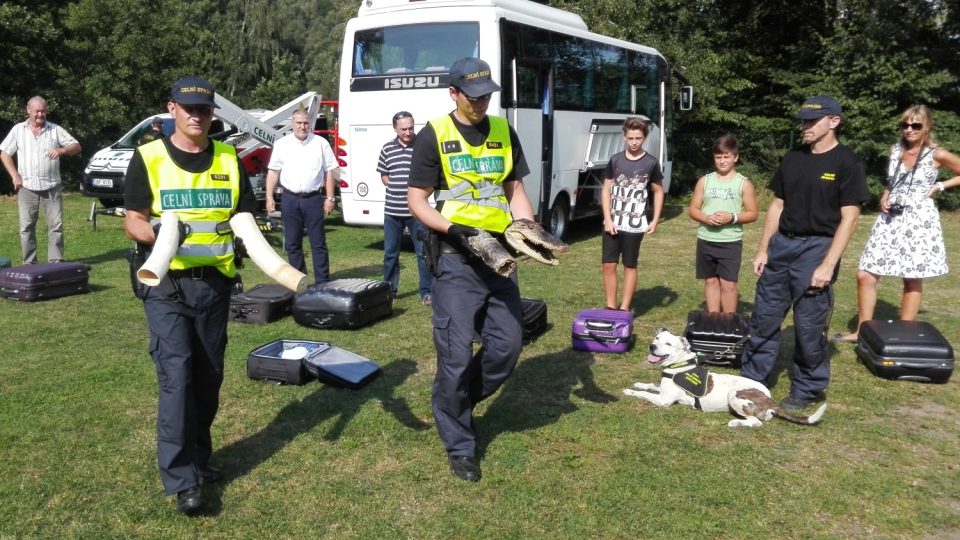 Ukázky výcviku služebních psů Celní správy ČR ve výcvikovém středisku v Heřmanicích na Liberecku