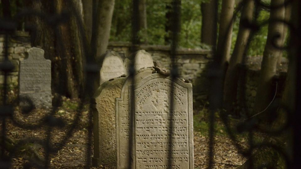 Židovský hřbitov v lese