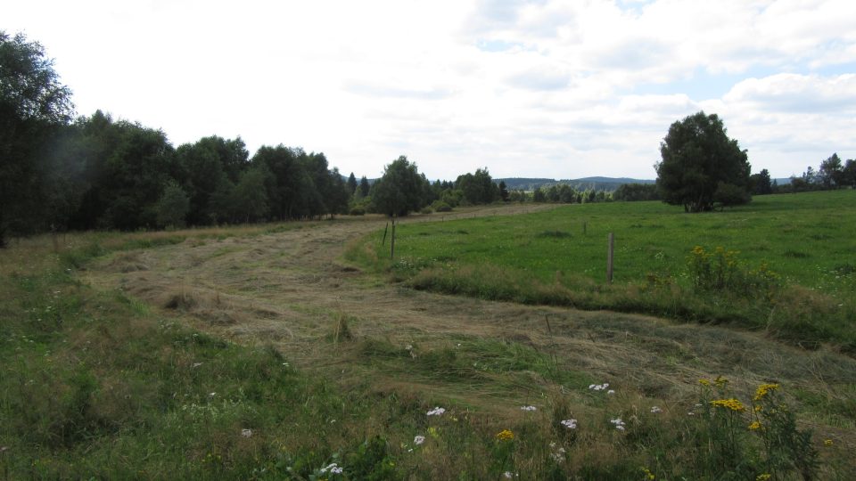 Národní přírodní památku Na požárech obklopují pastviny