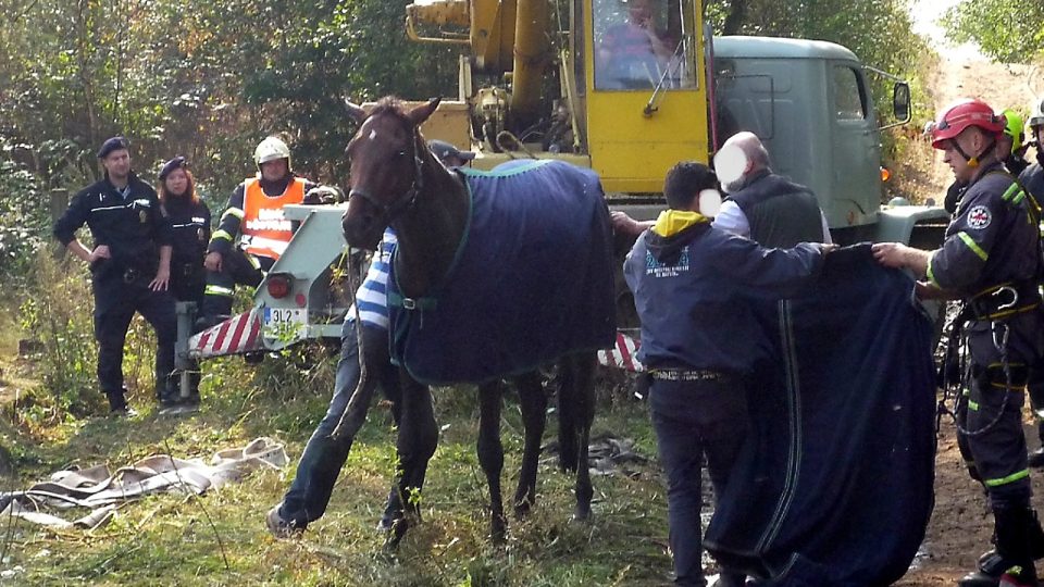 Záchrana koně z jímky v Ralsku - Svébořicích