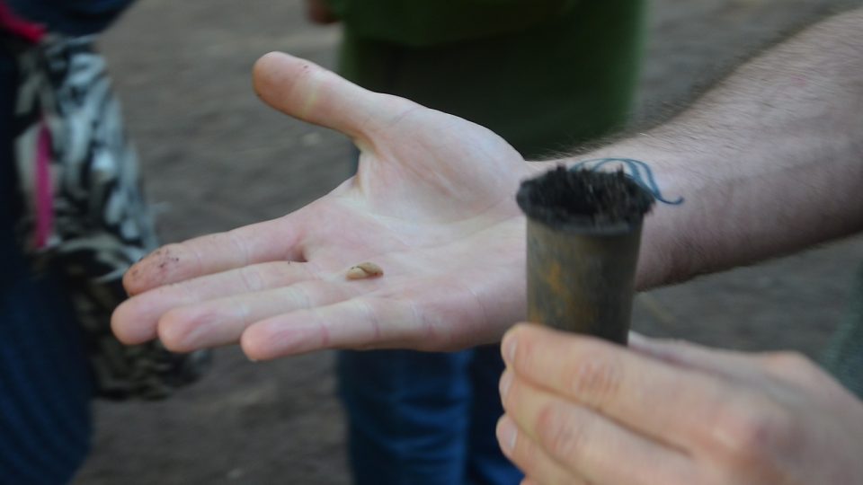 Návštěvníky tu žádají o zasetí semínka pro budoucí sazenici stromu. Vyroste někde na břehu přehradní nádrže Itaipú