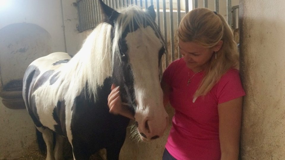 Léčba psychiky v koňském sedle: V Děčíně testují psychologickou terapii koněm