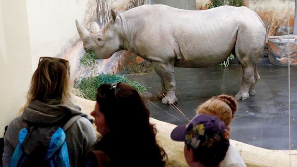 Expozice pro nosorožce v ZOO Dvůr Králové nad Labem