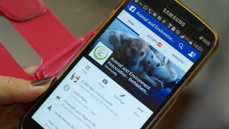 S betlémskými pejsky se můžete seznámit na facebookových stránkách útulku