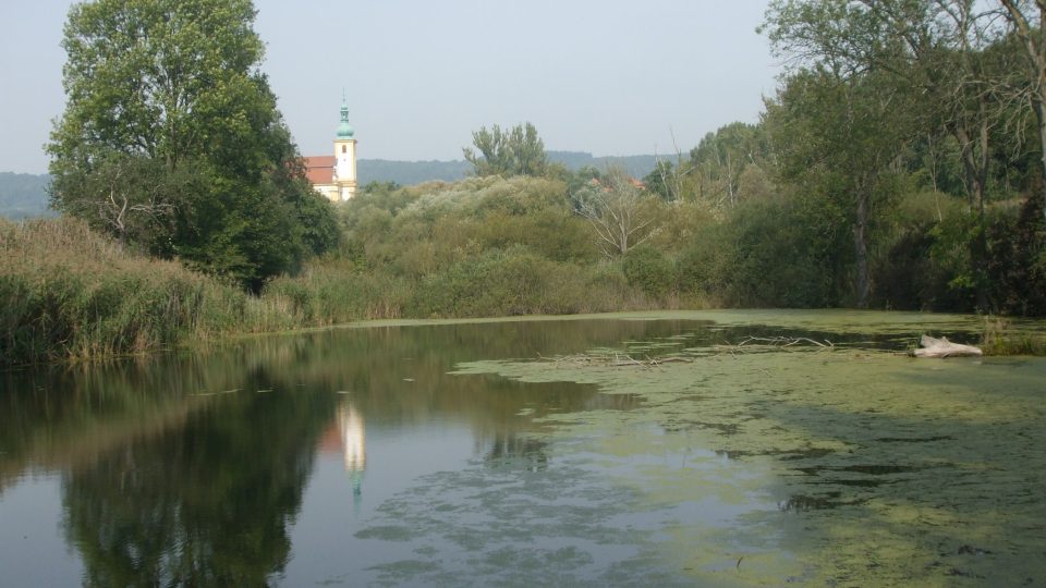 Pohled na kostel cestou k lípě