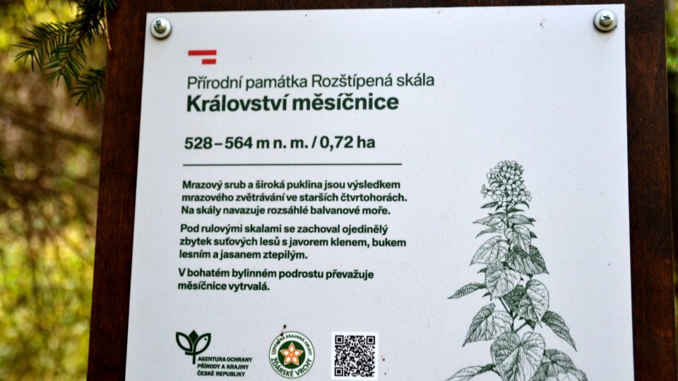 Přírodní památka Rozštípená skála je na tabulích Chráněné krajinné oblasti Žďárské vrchy prezentována také jako království měsíčnice
