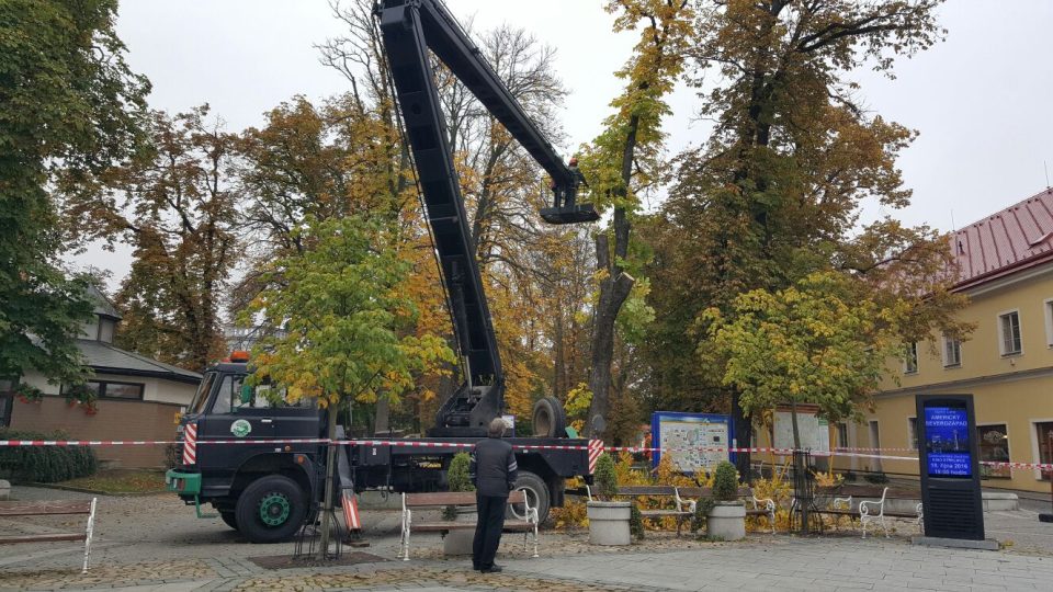 V centru Jindřichova Hradce jde k zemi devatenáct stromů. Začala dlouho plánovaná revitalizace Husových sadů