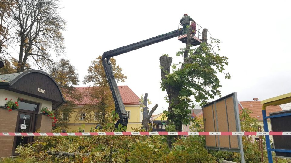 V centru Jindřichova Hradce jde k zemi devatenáct stromů. Začala dlouho plánovaná revitalizace Husových sadů