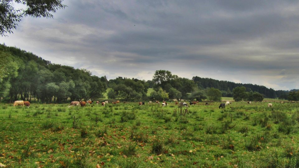 Kolem pramene jen samé pastviny