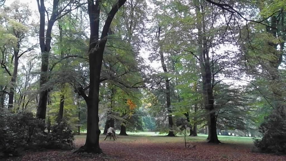 Zámecký park