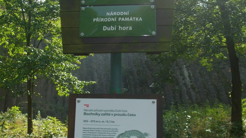 Jeden unikátní přírodní jev lze spatřit u Dubí hory na Úštěcku na severu Čech. Říká se mu Konojedské bochníky