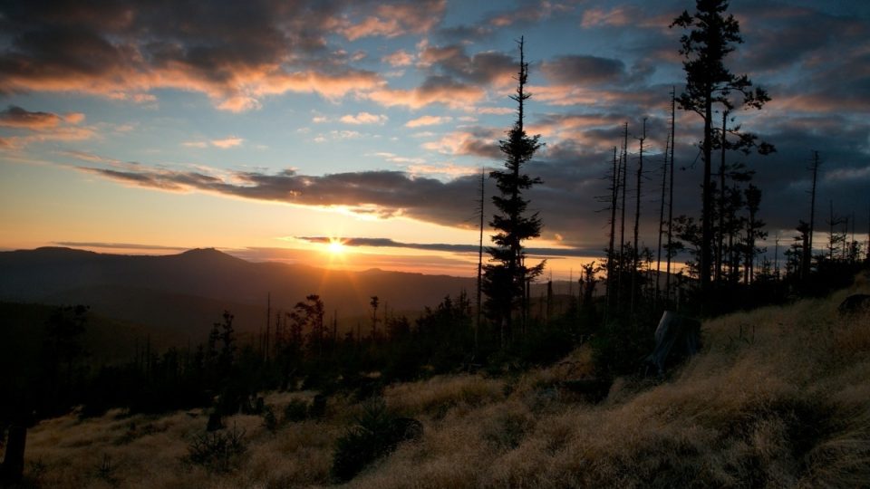 Šumava