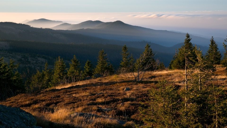 Šumava