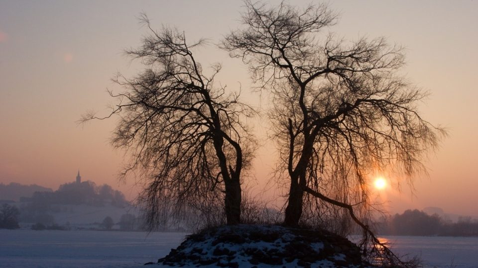 Šumava