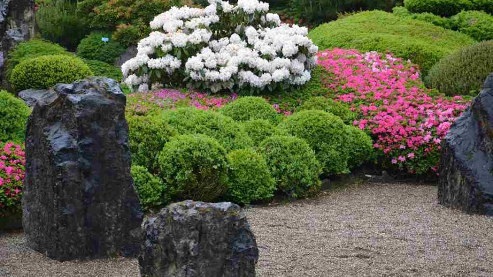 Japonská zahrada obvykle vyzařuje zvláštní atmosféru. Je to zahrada klidu a pokoje, vnitřní rovnováhy a intimního prostoru