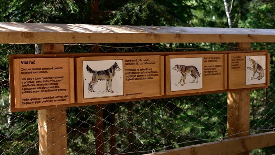Návštěvnické centrum v Srní na Šumavě představuje vlky