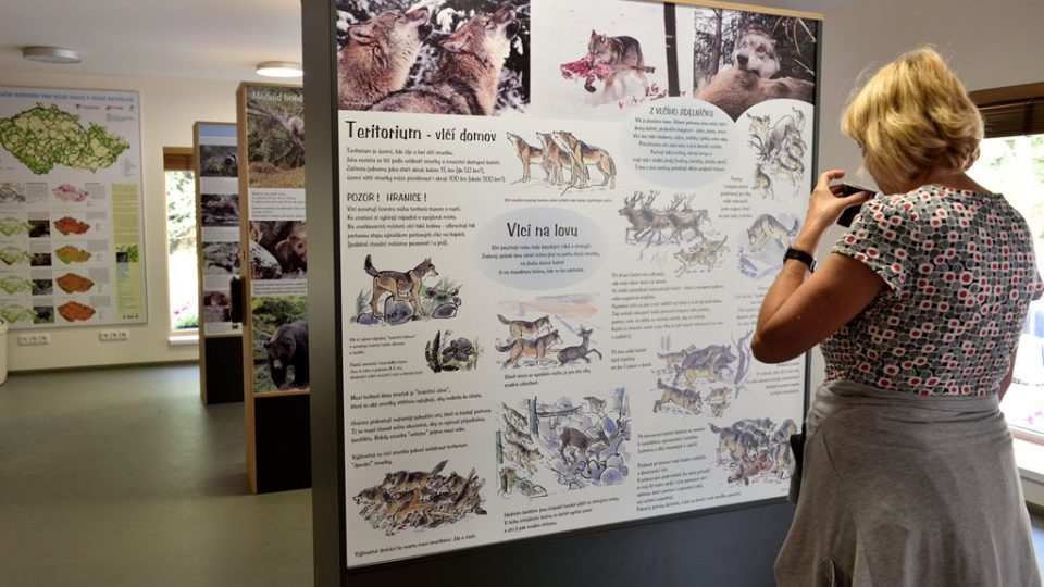 Návštěvnické centrum v Srní na Šumavě představuje vlky