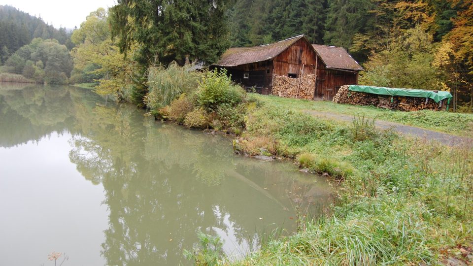 Karlovské jezero je zároveň významné výskytem korýšů, zejména kříženců raka říčního a raka bahenního a také vzácných perlooček