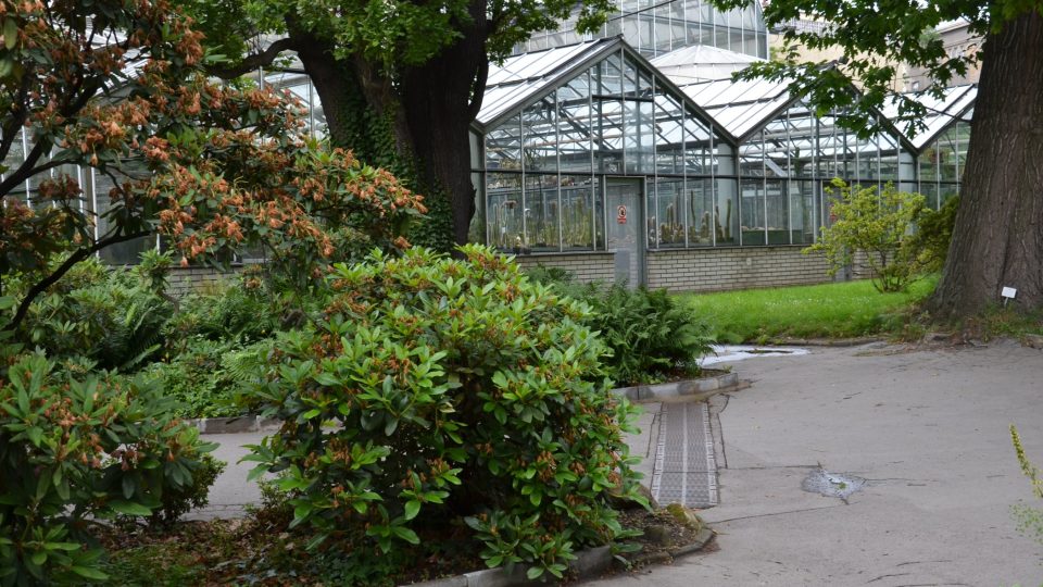 Botanická zahrada Na Slupi je součástí Nového Města