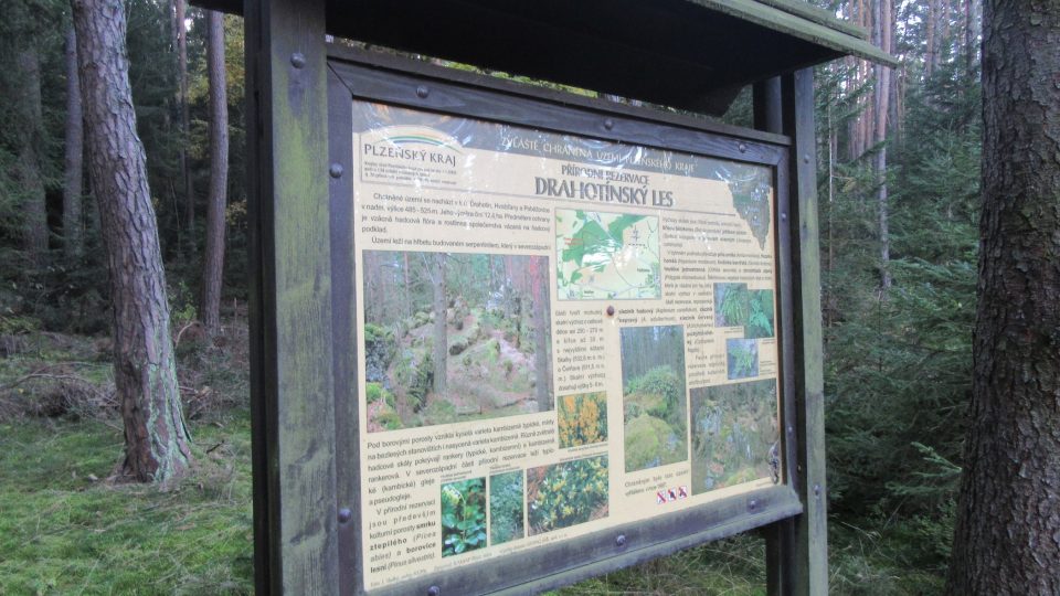 Přírodní rezervace Drahotínský les