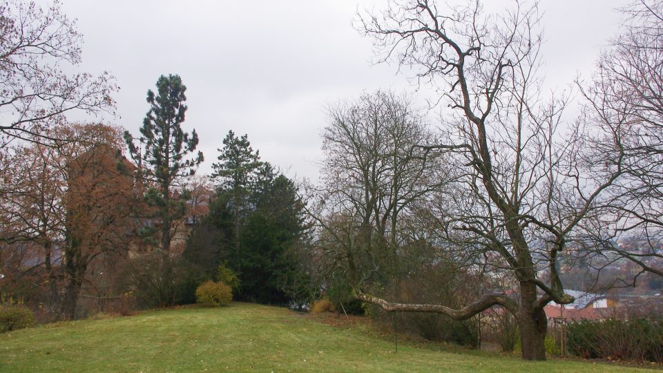 Lesopark obklopující hrad je také kulturní památkou.jpg