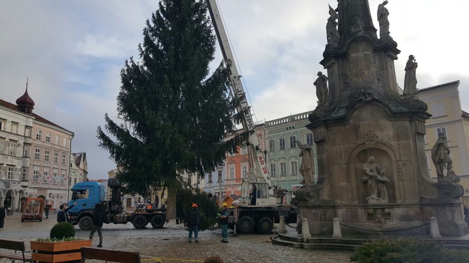 Příprava vánočního stromu na náměstí Míru v Jindřichově Hradci