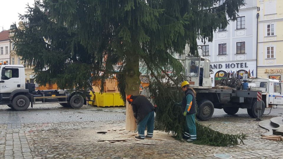 Příprava vánočního stromu na náměstí Míru v Jindřichově Hradci