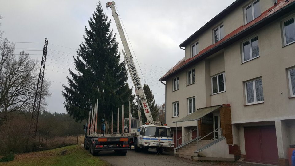 Vánoční strom darovali obyvatelé bytového domu v ulici U Cihelny