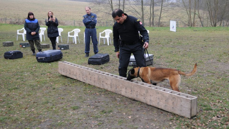 Kynologové z Peru cvičí v Heřmanicích své psy