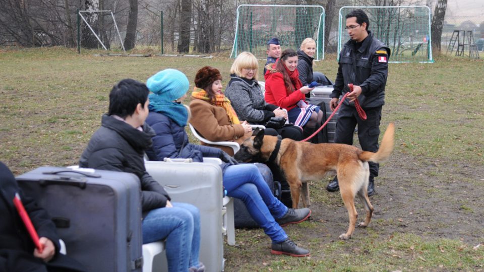 Kynologové z Peru cvičí v Heřmanicích své psy