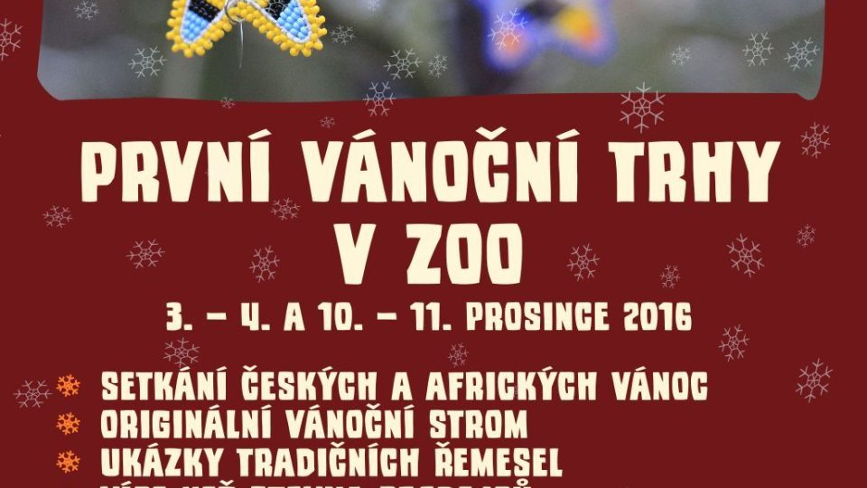 Královédvorská zahrada poprvé uspořádá vánoční trhy v zoo