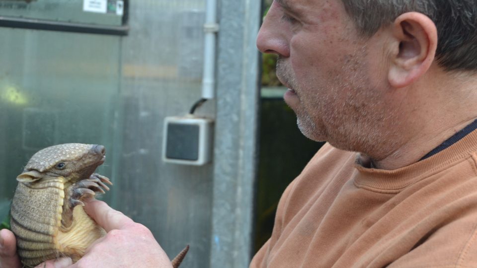 Jiří Bartůněk s malým pásovcem