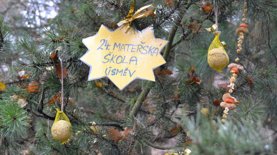 Ozdoby na vánočních stromcích v chomutovském zooparku jsou nachystány jako pamlsky pro zvířatalu 