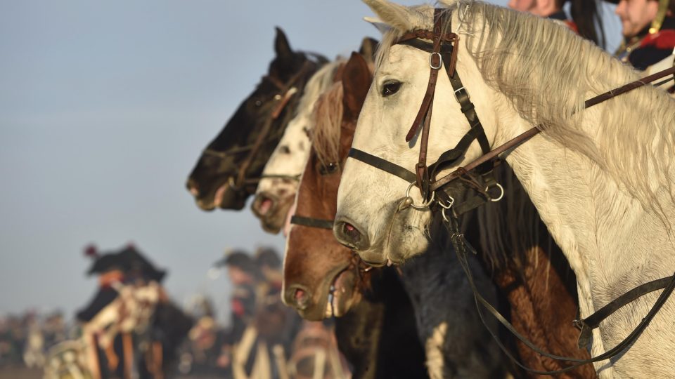 Scénář organizátoři vytvořili ze zápisků jednoho z tehdejších generálů.