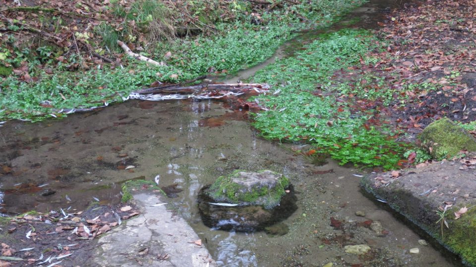 Místo, kde voda pramene opouští podloubí kaple do přírody