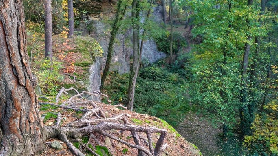 Škrovád je ceněný i pro svoji dostupnost shora, odkud se dají lezci jistit