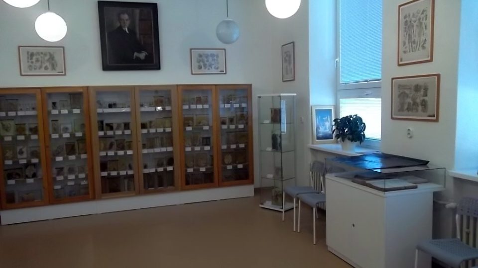 Muzeum patologie se nachází v prostorách Slezské nemocnice v Opavě