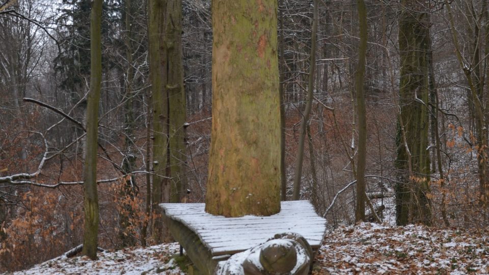 Stezku vedoucí nad údolím řeky Mohelky vytvořily Lesy České republiky v roce 2008, zaměřena je zvláště na historii místního lesnictví