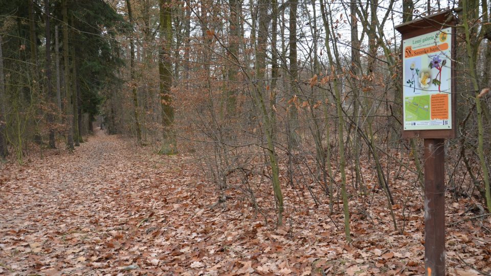 V terénu narazíte na dvě další stezky  Naučnou stezku Klánovických lesem a Lesní galerii