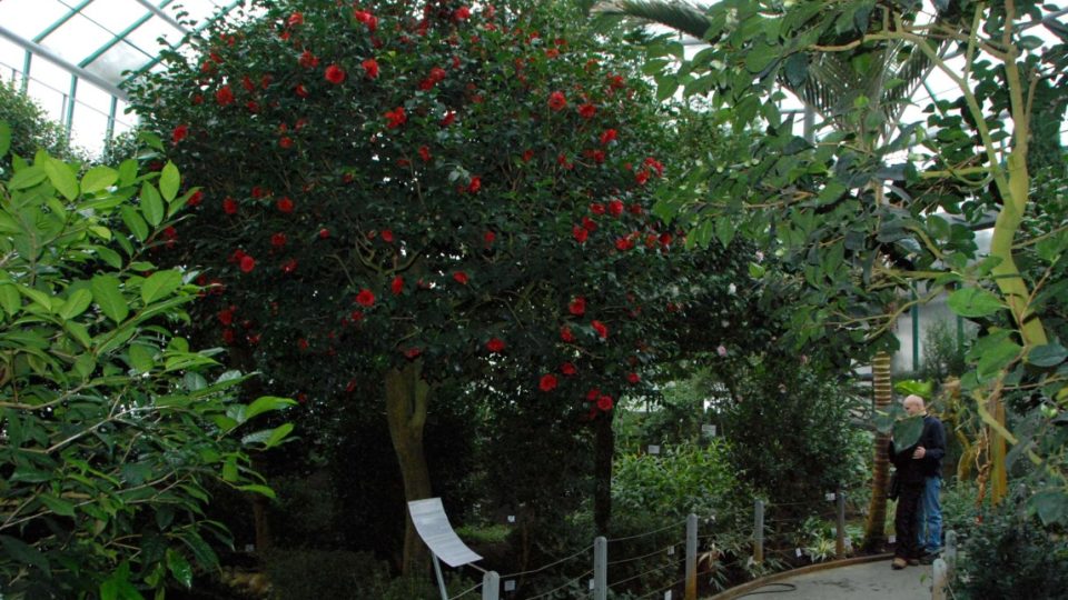 Pavilon Květnice liberecké botanické zahrady